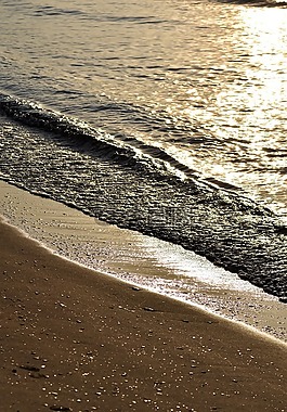 海灘,海,假期