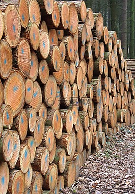 holzstapel,晶石,林業(yè)