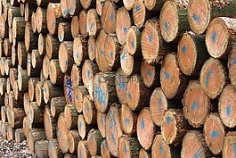 holzstapel,晶石,林業(yè)