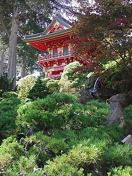 宝塔,森林,寺