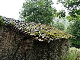 景觀,屋頂,性質(zhì)
