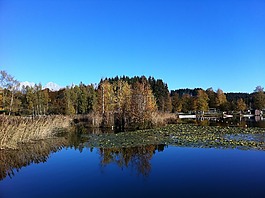 湖,藍(lán)色,秋天的性質(zhì)