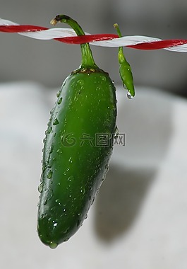 綠智利,蔬菜,香辣
