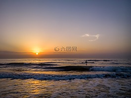 日出,海灘,漁