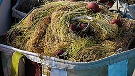 蚊帳,船,釣魚