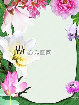 文具,夏天,鮮花