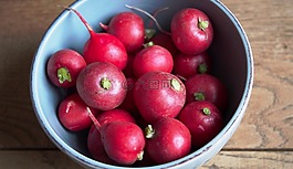 蘿卜,基數(shù),紅色