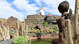 蘭薩羅特島,仙人掌公園,gofiomuehle