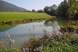 景觀,秋季,奧地利