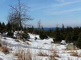 景观,雪,brokken