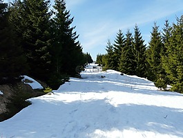 景观,雪,brokken