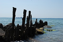 靜脈,殘骸,樁