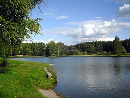 湖,池塘,景觀