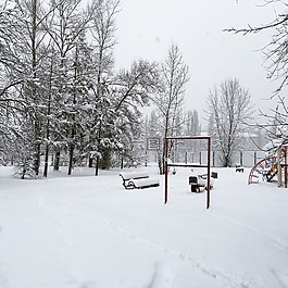 降雪,冬季,冷