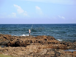 太陽,海,魚