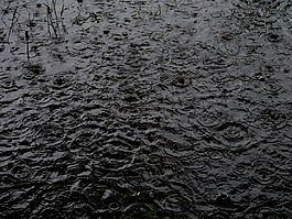 雨,雨滴,水坑
