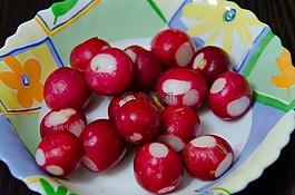 蘿卜,作物根,紅色