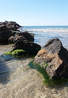 海灘,地中海,巖