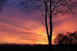 日出,冬天,天空