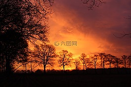 日出,天空,樹木