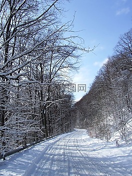 雪,冬季,櫸木山