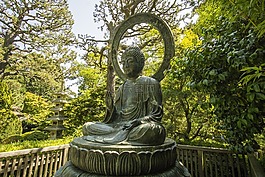 佛,金门公园,亚洲