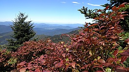 景區(qū),山,查看