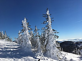 冬天,雪,太陽(yáng)