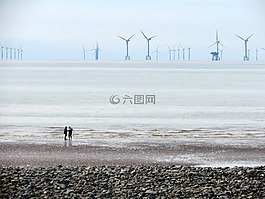 海灘,岸,海