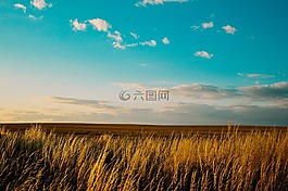 原野,農(nóng)村,國家