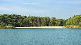 景觀,湖,森林