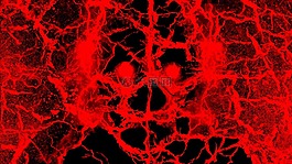 死亡,可怕,骨架
