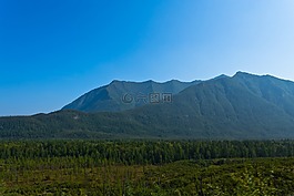 森林,返回頁(yè)首,山