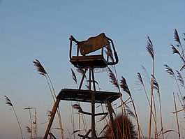 性質(zhì),景觀,查看