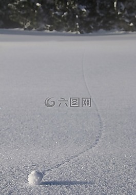 冬天,雪,藝術(shù)
