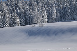 冬天,雪,寒冬