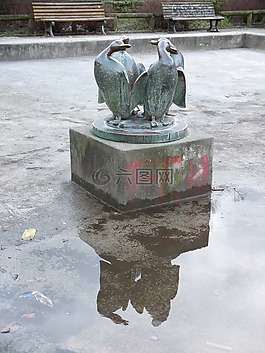 企鵝,鏡像,水