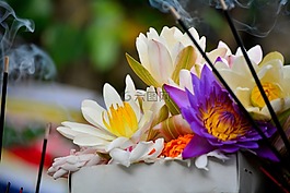 鮮花,顏色,寺