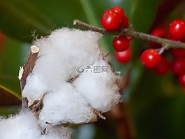 圣誕節(jié),裝修,飾品