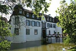 城堡,庭院的城堡,bottmingen