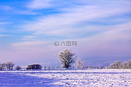 黎明,冬天,雪