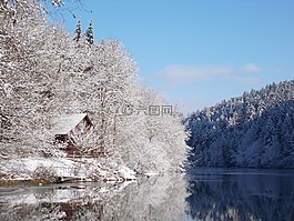 冬天,湖,景觀