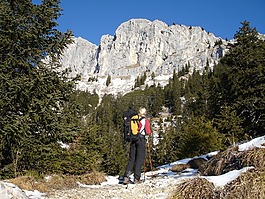 徒步旅行,山,hochwiesler