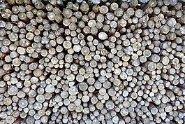 holzstapel,紋理,木