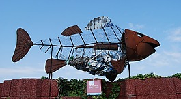 藝術,生態(tài)學,在 hel 密封桂皮