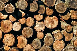 holzstapel,紋理,木