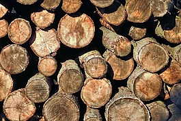 holzstapel,紋理,木