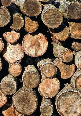 holzstapel,紋理,木
