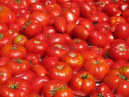 西紅柿,蔬菜,食品