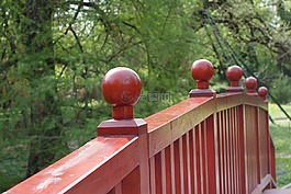 木,橋,自然